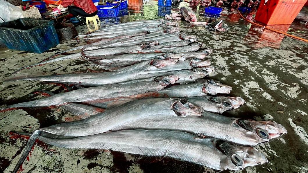 漁民1次捕獲近50尾的地震魚。（圖／翻攝自阿春新鮮魚貨－台東成功漁場臉書）
