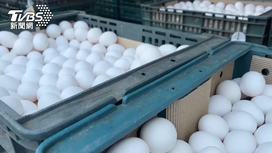國內近期雞蛋產能吃緊，導致蛋價飆漲。（示意圖／TVBS資料照）