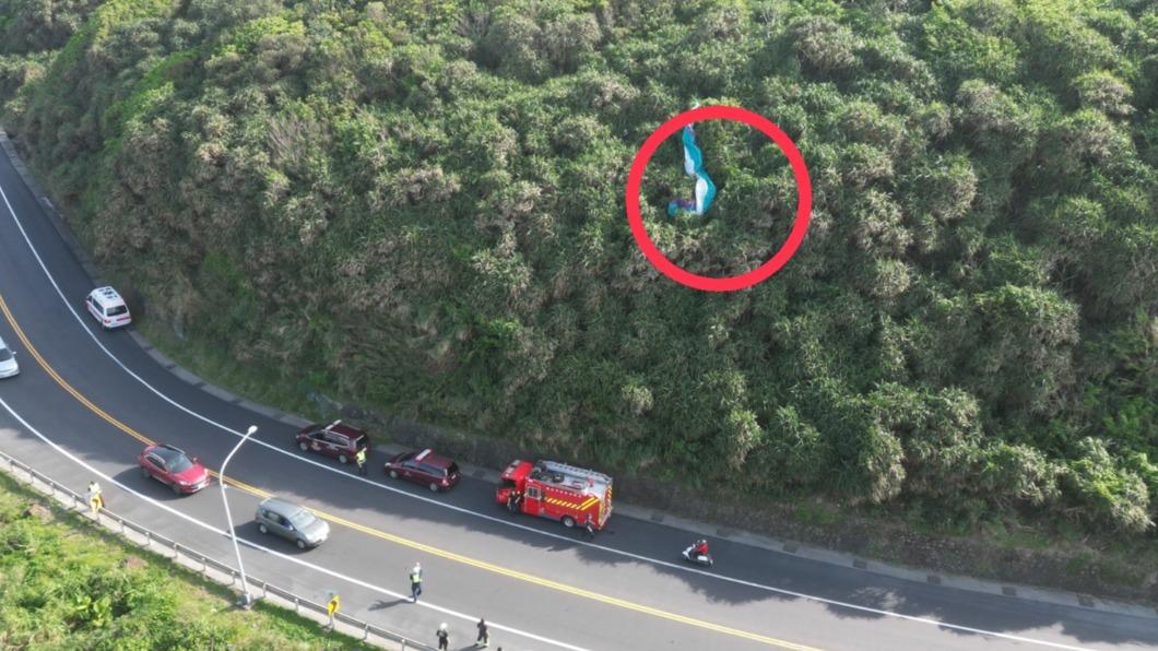 新北市濱海公路旁，飛行傘掉落在樹梢上。（圖／新北市消防局提供）