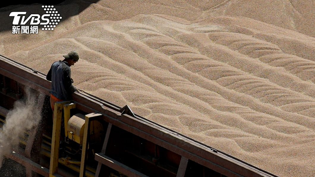 波蘭及匈牙利禁止烏克蘭穀物進口。（示意圖／達志影像美聯社）