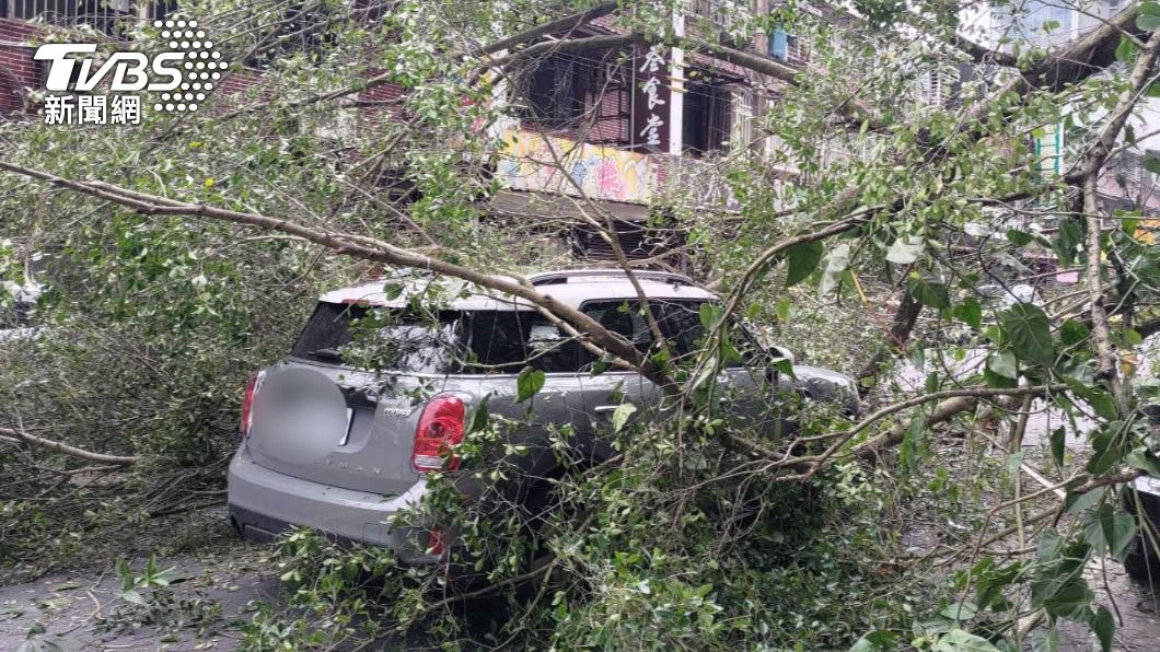 婦人開車經過時突然遭倒塌路樹砸中車頂。（圖／TVBS）