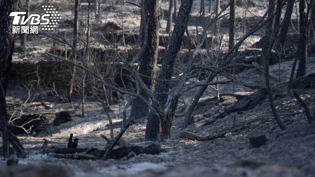 西班牙3月曾發生一場森林大火。（圖／達志影像美聯社）
