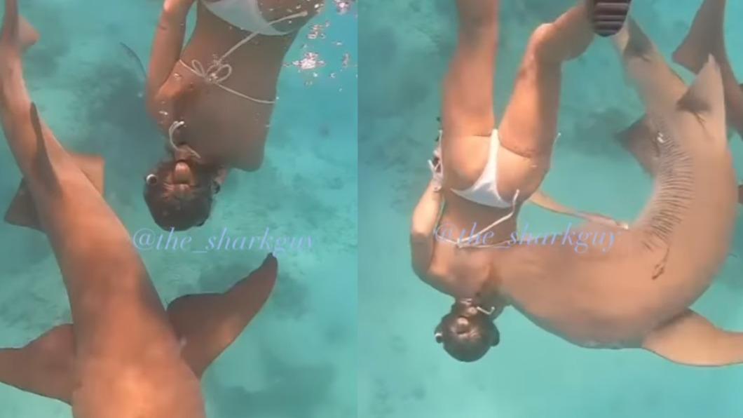 一名30歲女子在馬爾地夫浮潛時，疑似因為游得太靠近，遭到鯊魚狠咬背部。（圖／翻攝自@the_sharkguy IG）