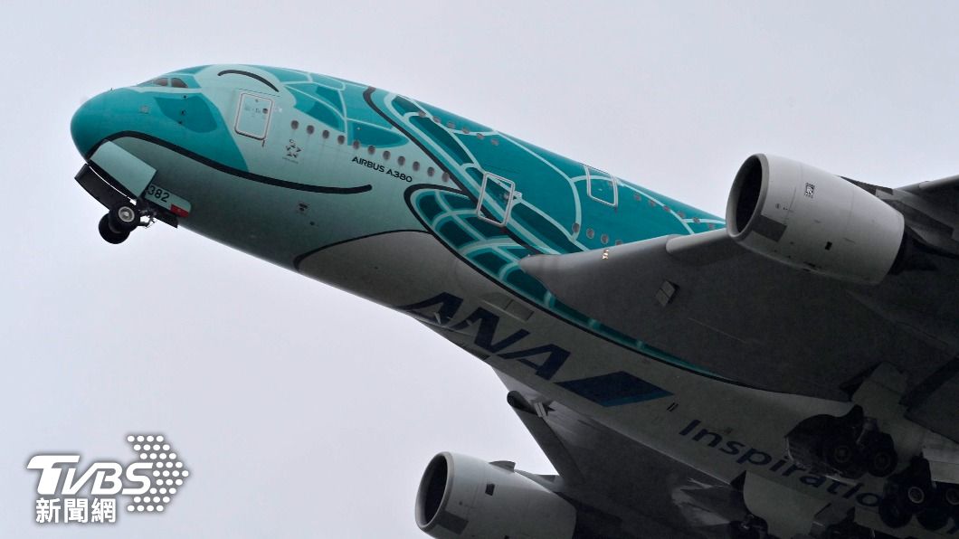 全日空A380海龜彩繪機。（圖／達志影像美聯社）