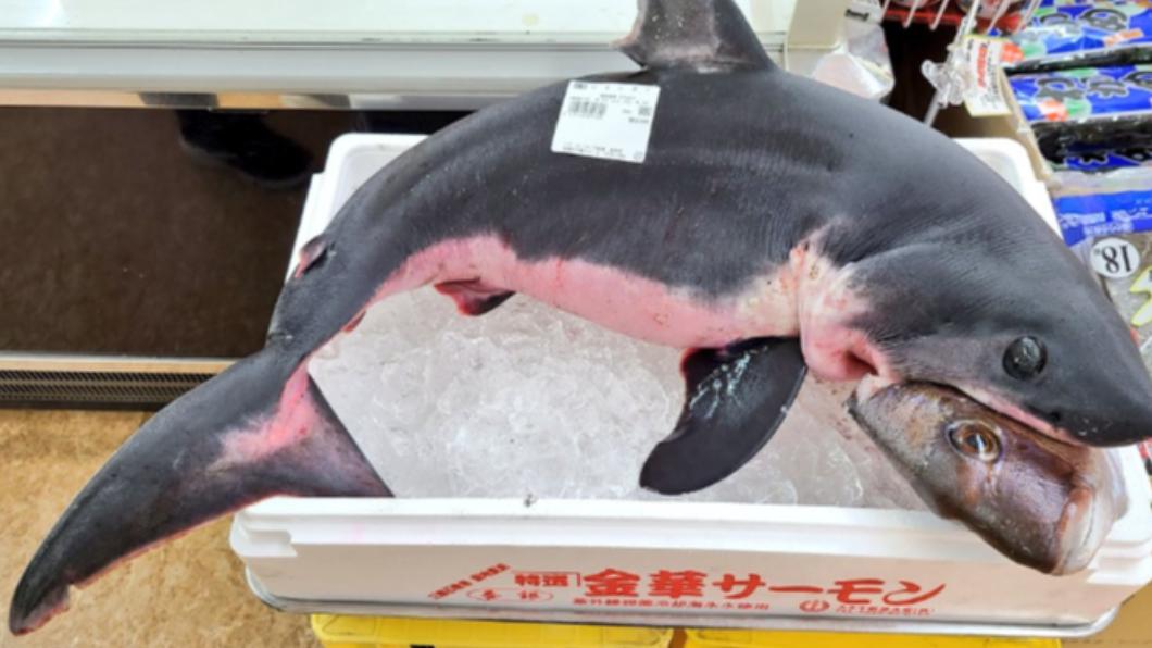 日本超市驚現整隻鯊魚。（圖／翻攝自推特＠alveare_）