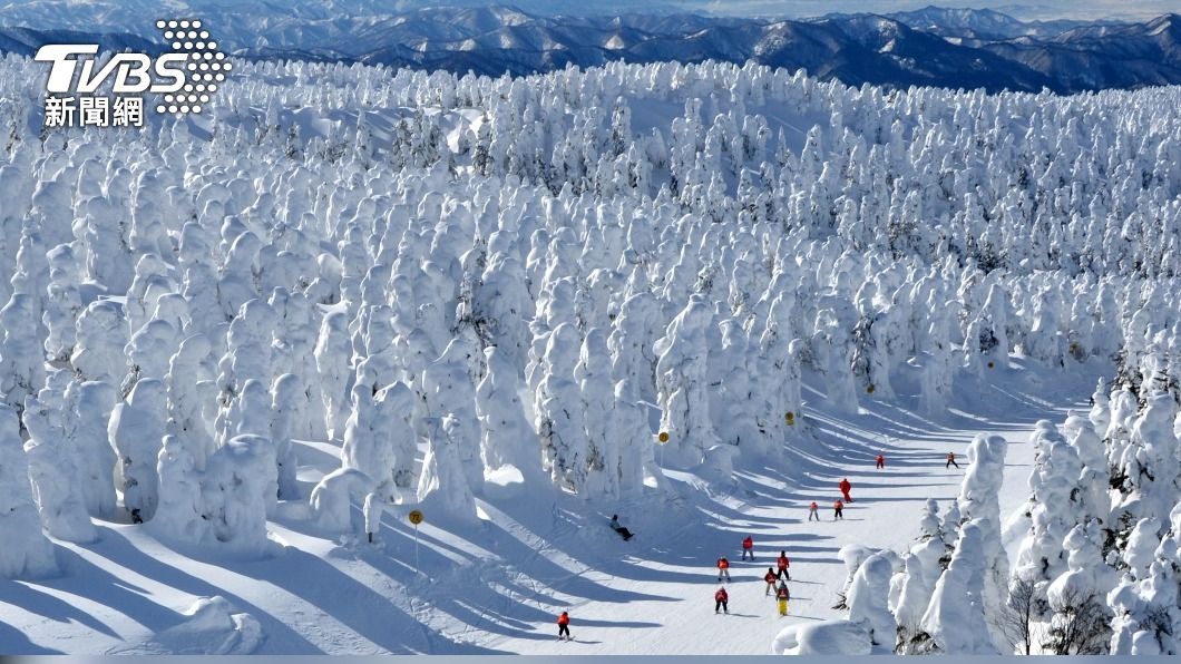 雪怪將消失？全球暖化 日本知名「藏王樹冰」絕景恐不再│TVBS新聞網