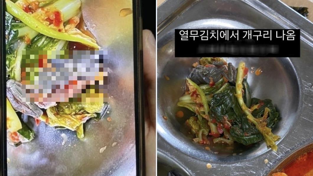 去年首爾一所高中的營養午餐配菜內發現青蛙的屍體，引發爭議。（圖／翻攝自@Rahyang_0625推特）