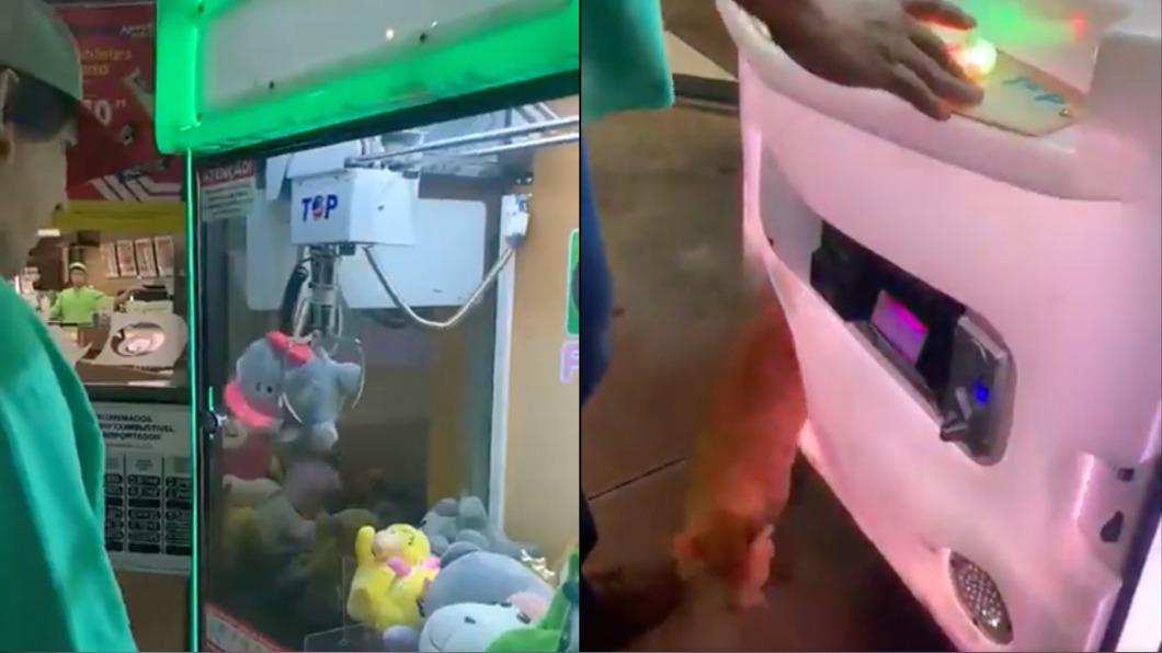 巴西一名男子到夾娃娃機夾玩偶，洞口意外出現一隻橘貓。（圖／翻攝自blabla112345 Twitter）