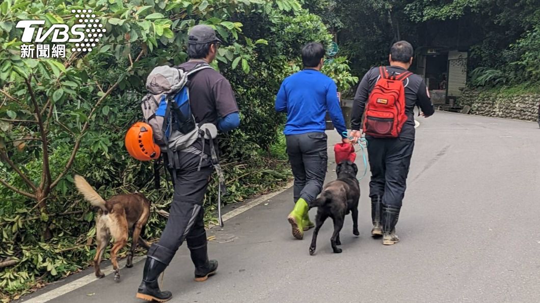 新北消防出動大量人車、搜救犬，前往山區搜索婦人。（圖／TVBS）