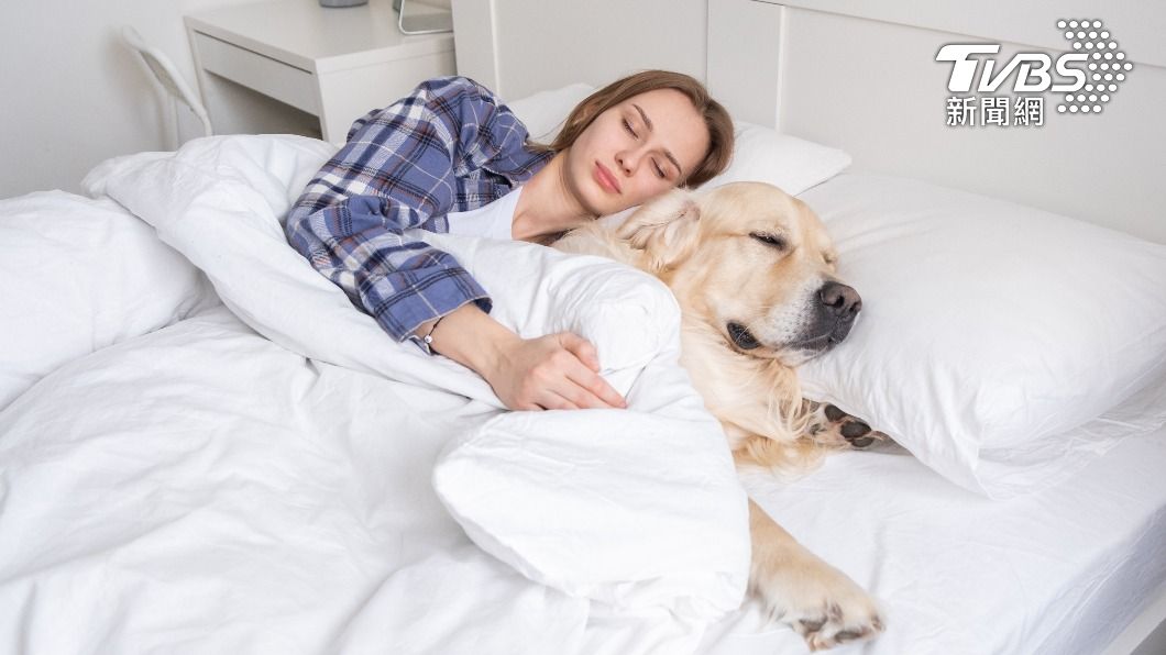 不少人喜歡和心愛的狗兒一起睡覺。（示意圖／shutterstock 達志影像）