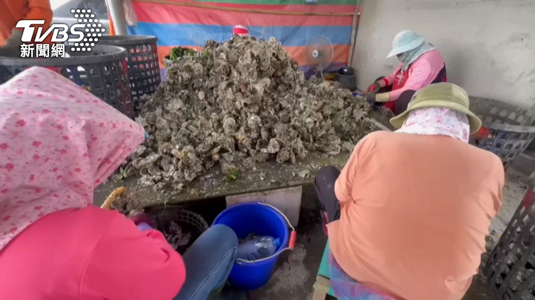 Taiwanese indicted for smuggling oysters (Photo for illustrative purposes/TVBS) Taiwanese indicted for smuggling 24K kg oysters from China