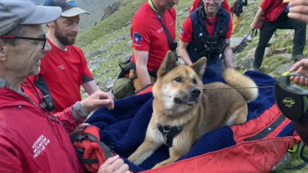 秋田犬Rocky登頂後累到動不了。（圖／翻攝自Keswick Mountain Rescue Team Facebook）