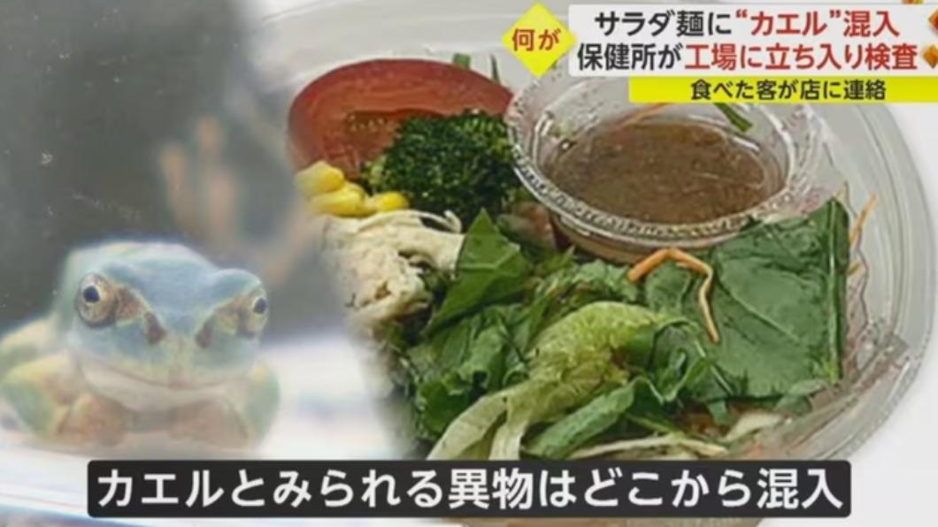 日本長野縣一家食品供應商的沙拉裡被顧客發現有「青蛙」異物，引發討論。（圖／翻攝自富士新聞網Youtube頻道）