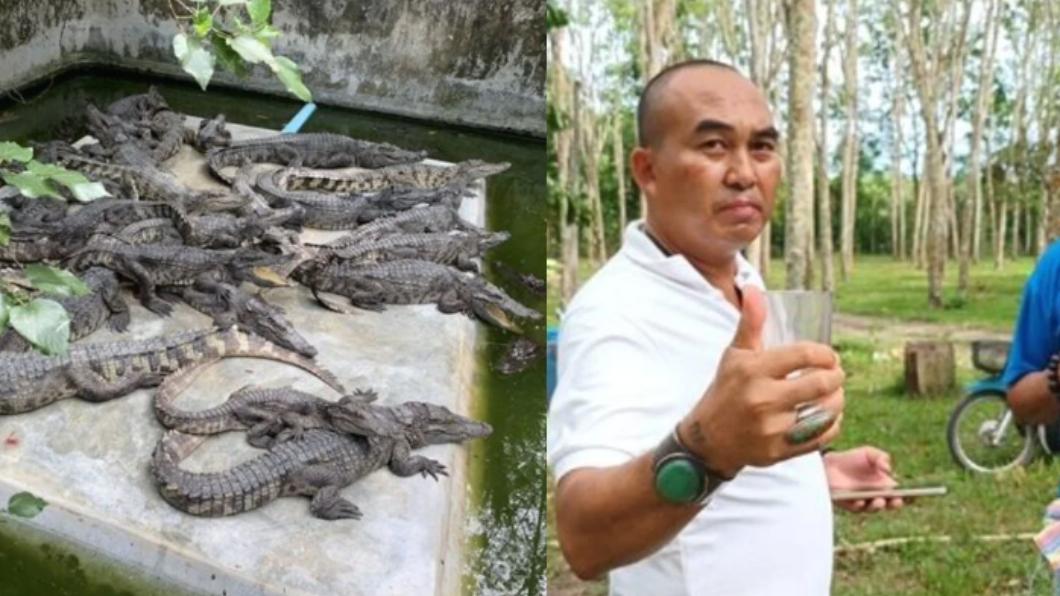 泰國52歲男子羅哈考恩（Rojakorn Nanon）一天豪飲2次鱷魚血。（圖／翻攝自《The Thaiger》）