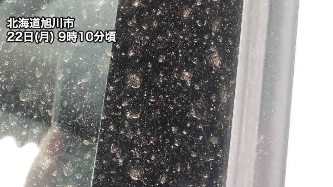 在北海道旭川市，戶外的玻璃上沾滿了黃沙。（圖／翻攝自@wni_jp推特）
