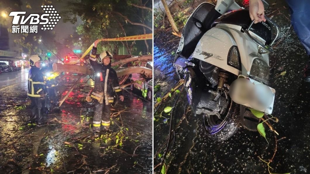 北市松山區傳出路樹倒塌，導致1名女騎士摔車骨折。（圖／TVBS）