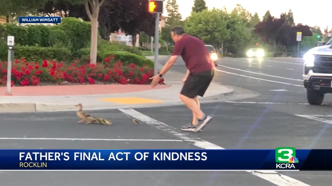 美國加州男子里維拉護鴨過馬路，沒想到自己卻遭車輛追撞致死。（圖／翻攝自KCRA新聞影片）