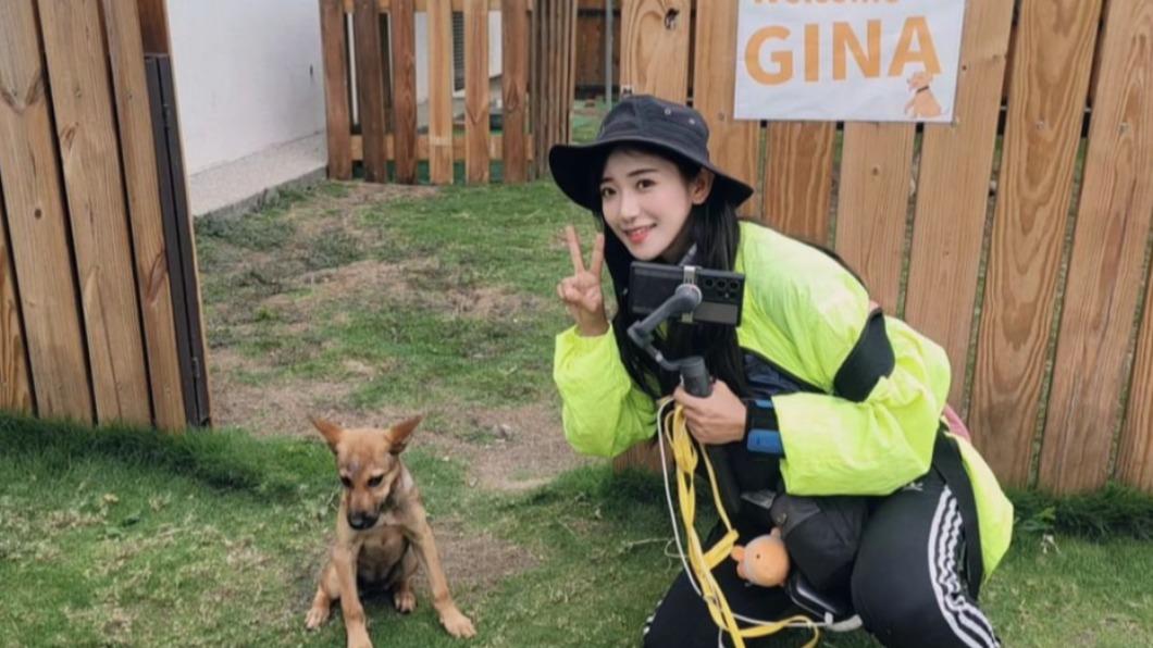 企鵝妹為半路救治的狗狗Gina找到新家。（圖／翻攝自企鵝妹IG）