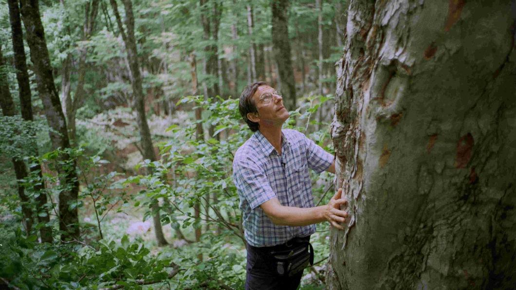 柏夏德遠赴滿布地雷的巴爾幹森林尋找造琴良木，讓客戶十分震驚（圖／海鵬提供）