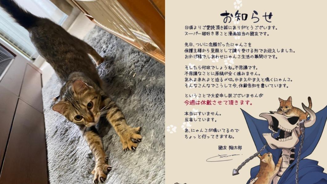 國友翔太郎為了陪伴貓咪而休刊。（圖／翻攝自＠kunitomoshotaro推特）