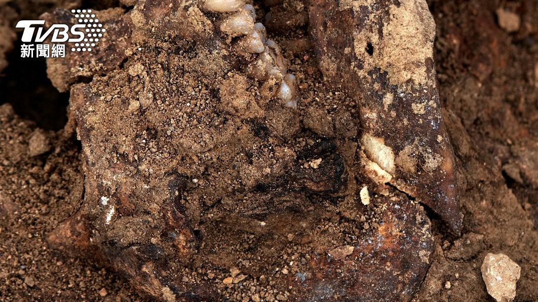 波蘭東北部一處亂葬崗挖出多達450具「吸血鬼遺骸」。（示意圖／Shutterstock達志影像）