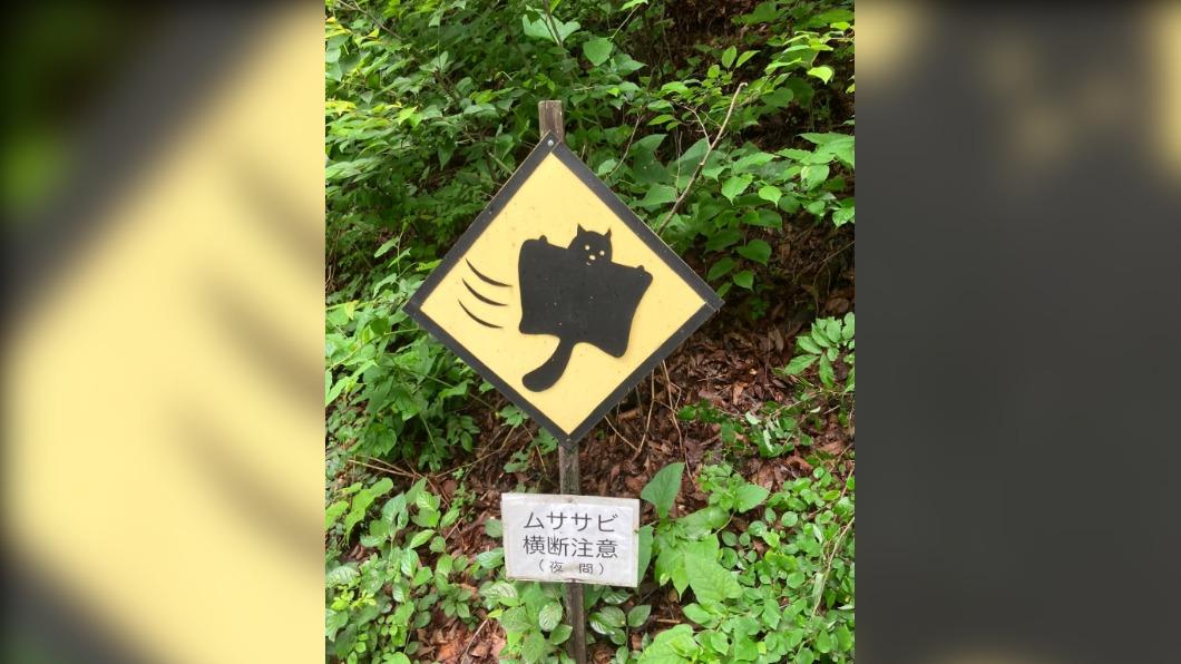 日本網友表示第一次見到「注意巨型飛鼠穿越」告示牌。（圖／翻攝自推特@akanbird）