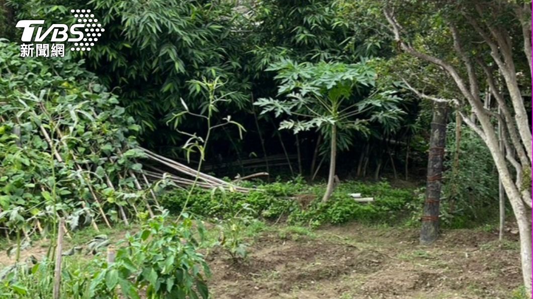 民眾在竹林內發現一具白骨。（圖／TVBS）