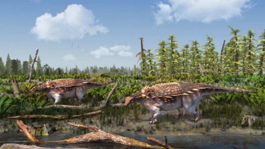 英國南部的懷特島（Isle of Wight）發現新型恐龍「巴雷特威克蒂甲龍」（Vectipelta barretti）。（圖／翻攝自《CNN》）