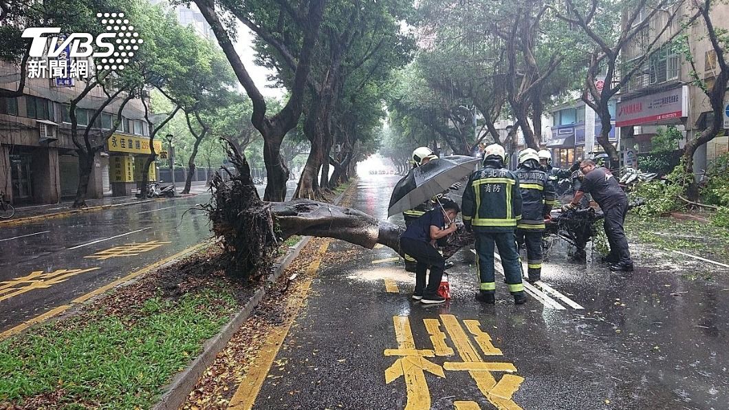 北市強降雨釀災，位於重慶南路三段的路樹倒塌。（圖／TVBS）