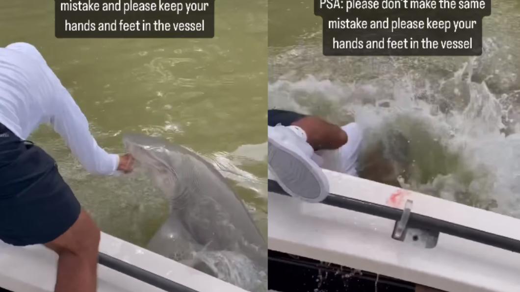 淺灰色的檸檬鯊出現，一口將男子咬傷、拖入水中。（圖／翻攝自@florida IG）
