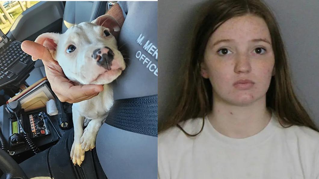 女兒手指遭比特犬狠咬截肢，佛州21歲媽媽遭控疏忽育兒逮捕。（圖／翻攝自紐約郵報）