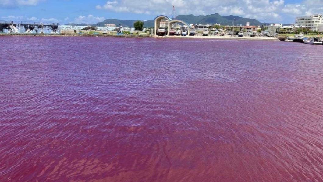 啤酒工廠外漏的丙二醇、冷卻水和食用色素，使當地的名護漁港被染紅。（圖／翻攝自@A9Nkx推特）