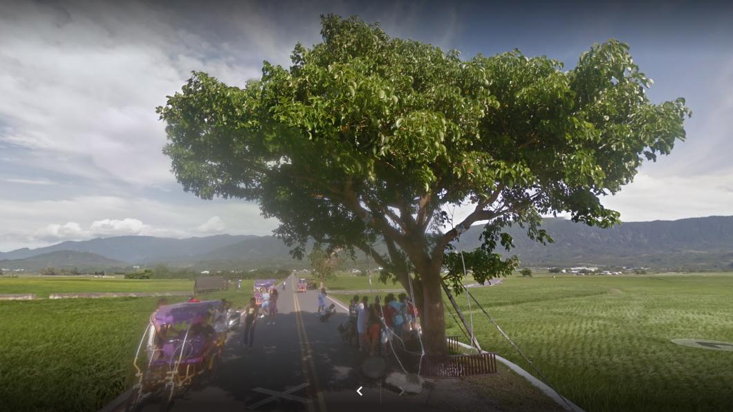 金城武樹是很受歡迎的打卡景點。（圖／翻攝自Google map）