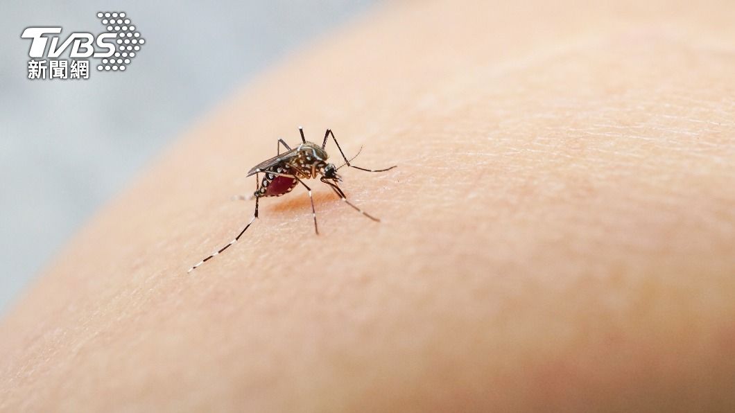 若想在夏天避免被蚊子叮的話，不妨參考醫師提供的5撇步。（示意圖／Shutterstock達志影像）