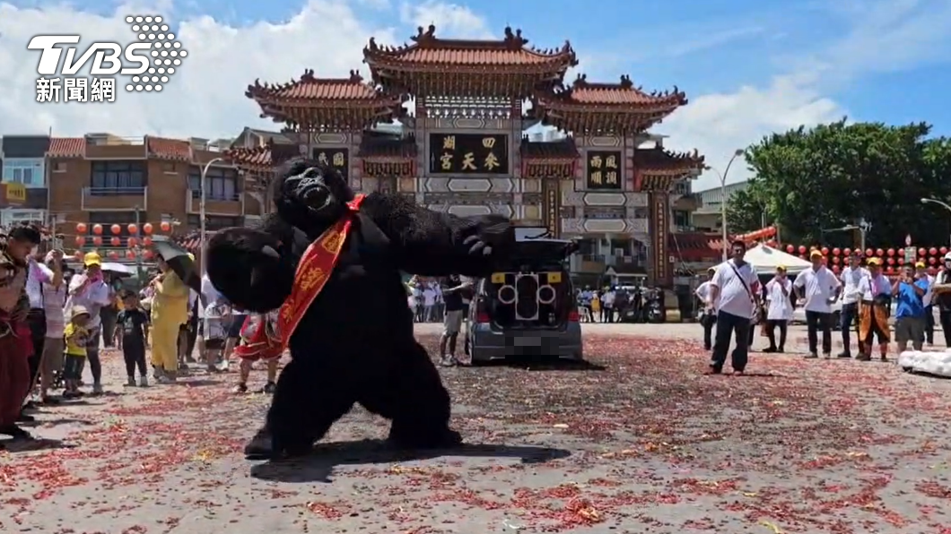 黑猩猩在廟埕前熱舞。（圖／TVBS）