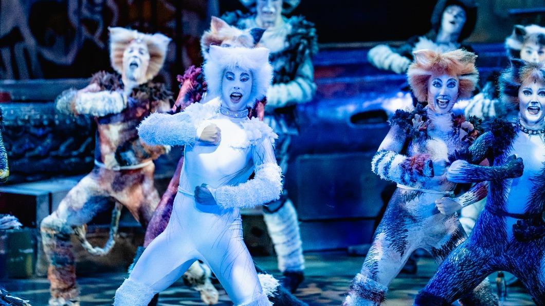 百老匯音樂劇《貓》展開北中南巡演，首站從高雄出發，將帶來精采演出。（圖／寬宏藝術提供）