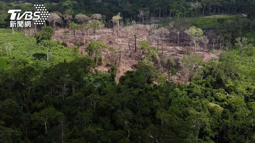 魯拉執政期間亞馬遜雨林濫伐下降。（圖／達志影像美聯社）