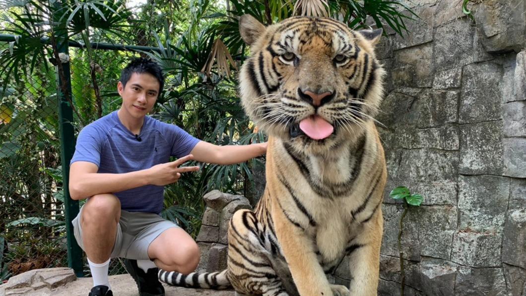 潘君侖跟老虎拍照。（圖／八大提供）
