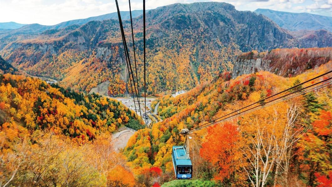 北海道賞楓秋遊道東5日搭乘空中纜車俯瞰岩壁上繽紛的紅葉景緻。（圖／易飛網提供）