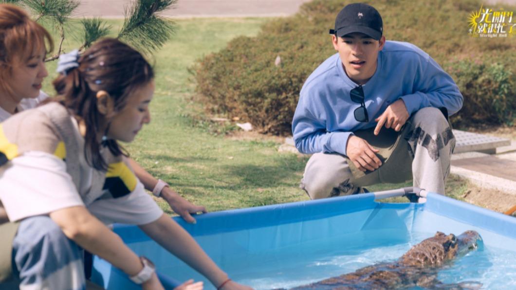 陳意涵（左起）、林心如、陳昊森替鱷魚客人洗澡。（圖／TVBS）