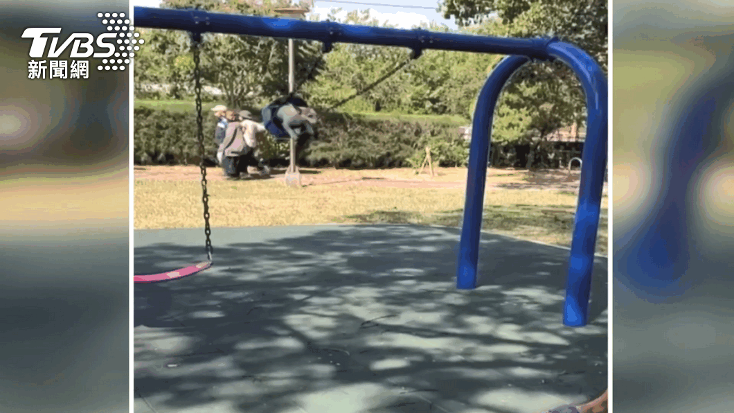  Taichung City says playground exclusively for children amid dog swing set uproar Taichung says swings for children only amid dog swing video