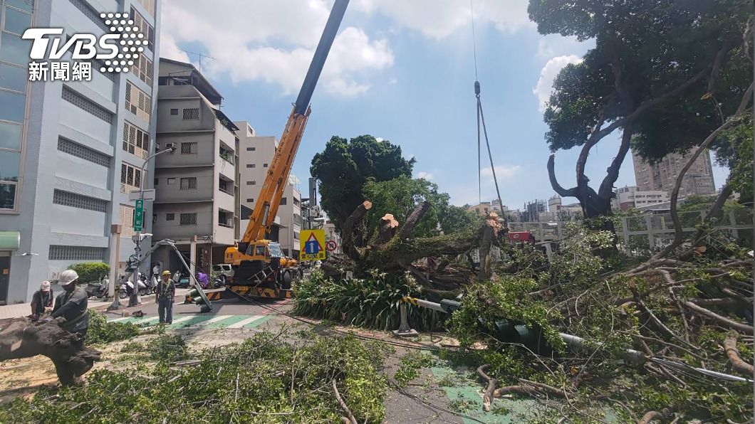 電線桿與樹木橫倒於路面，導致車輛須繞行。（圖／中央社）