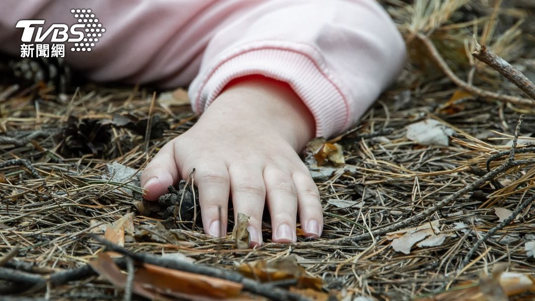 英國女子不幸遭斷裂的樹枝砸死。（示意圖／Shutterstock達志影像）