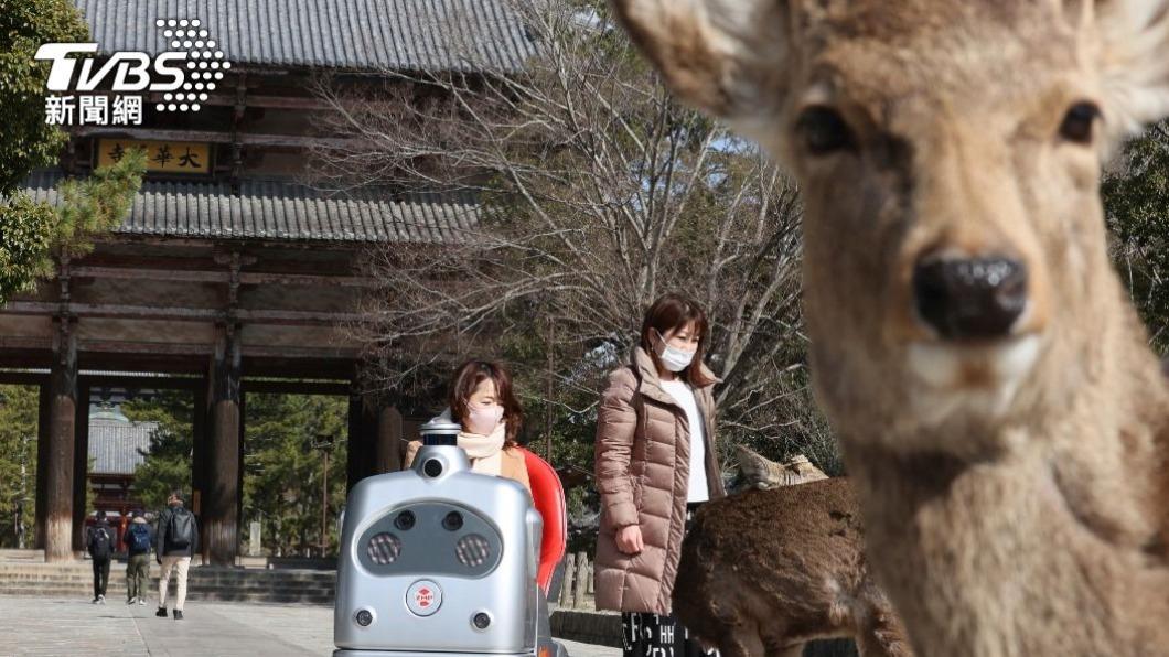 日本熱門旅遊景點奈良公園。（示意圖／達志影像美聯社）