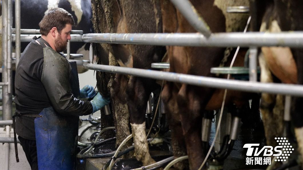 農委會主委陳吉仲今天表示，為避免紐西蘭液態乳進口衝擊本土乳業。（圖／達志影像美聯社）