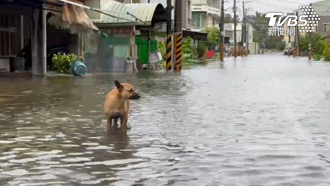 安南區城西街ㄧ段淹水情形。（圖／TVBS）