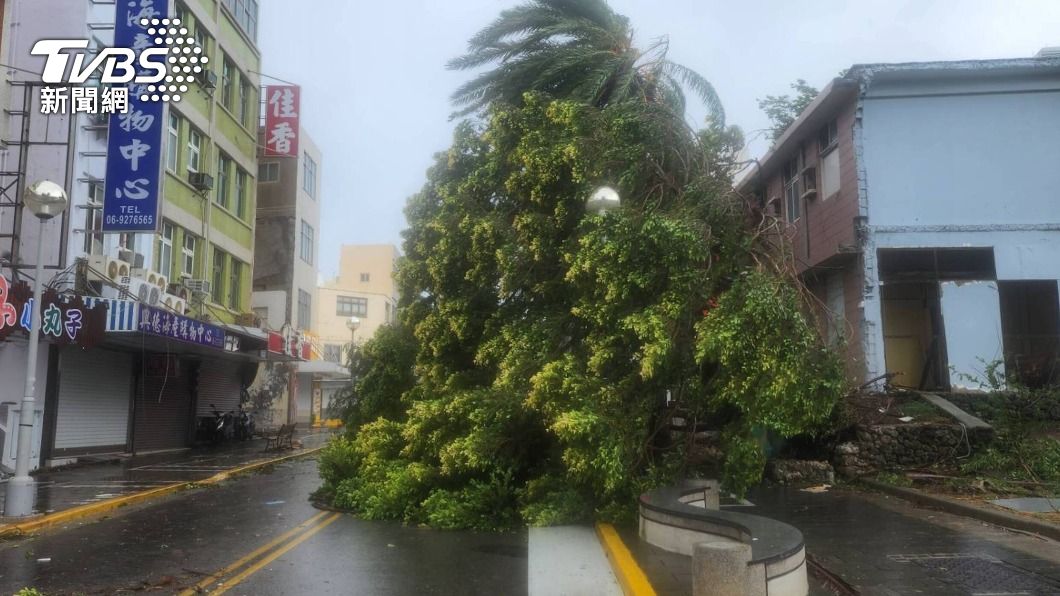 杜蘇芮侵襲澎湖路樹倒塌嚴重影響通行。（圖／中央社）