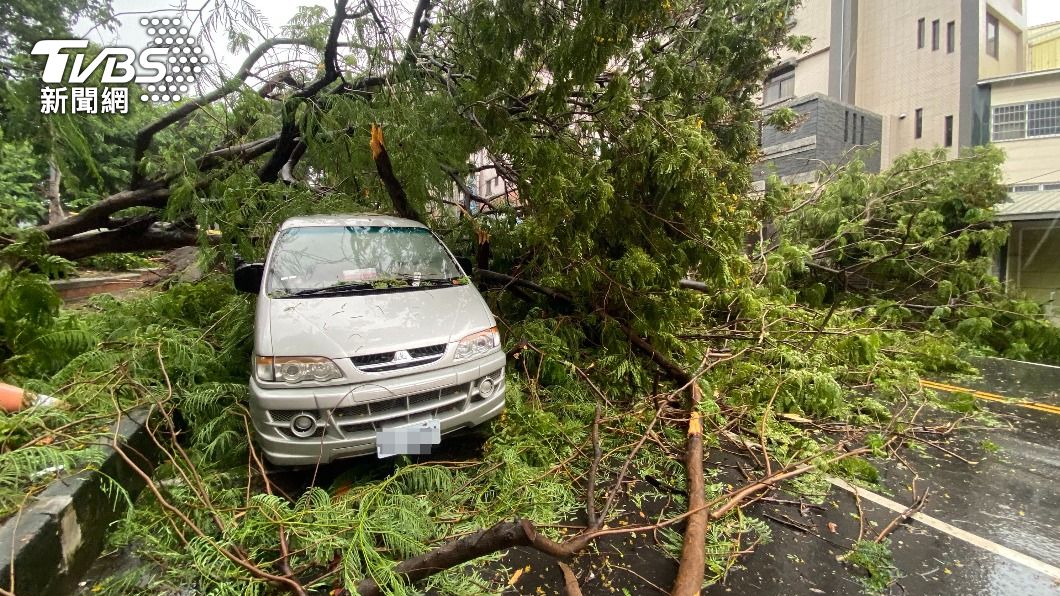 停放在路邊的車輛遭倒塌路樹砸中。（圖／中央社）