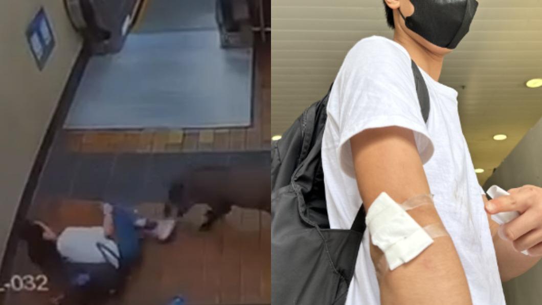 野豬闖港鐵，導致2人導致受傷。 （組合圖／翻攝自微博、香港01）