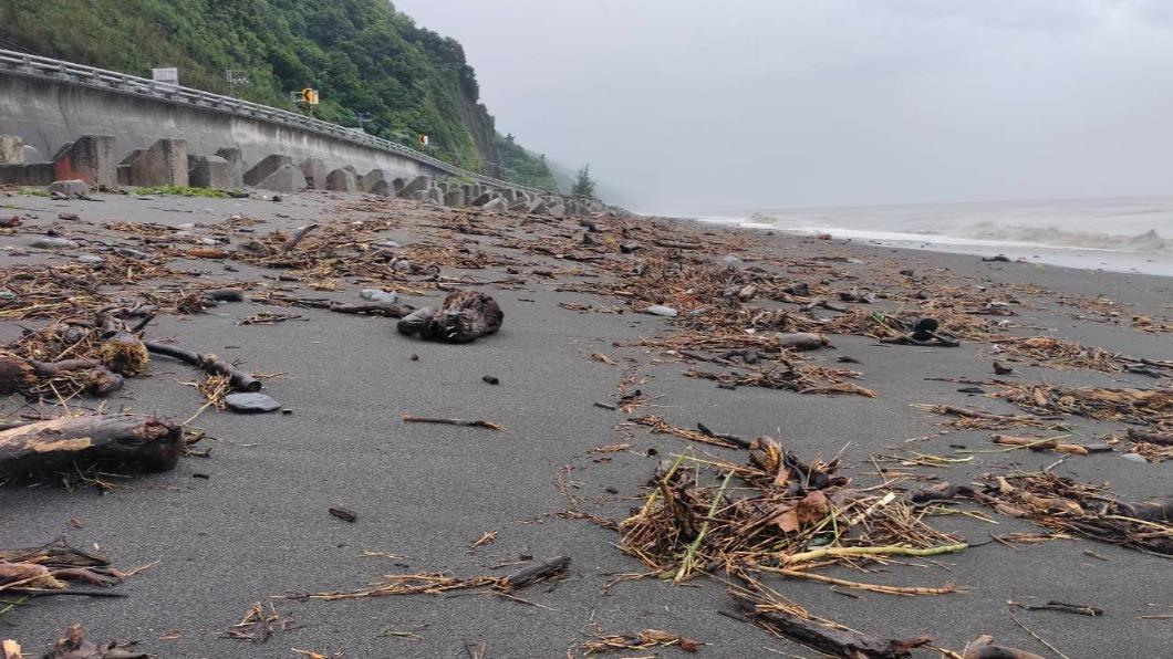 颱風過境 多良車站附近海岸漂流木(圖/台東林管處提供)